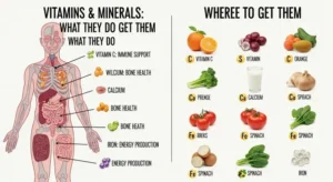 Vitamins & Minerals: What They Do and Where to Get Them
